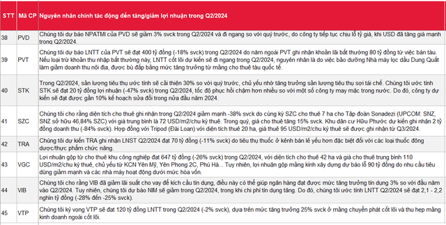 SSI ước tính lợi nhuận quý 2/2024: 30 DN có thể tăng bằng lần, nhiều cái tên được cho là sẽ giảm lãi, trong đó có cả 'ngôi sao' họ Viettel- Ảnh 6.