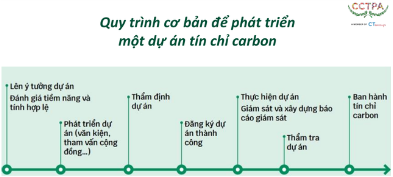 Từ chỉ đạo quyết liệt của Thủ tướng: Một ngành của Việt Nam lãi ròng thêm 100 triệu USD mỗi năm?- Ảnh 5.