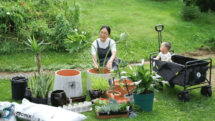 Nữ thạc sĩ rời thành phố ồn ào, về quê sống, hàng ngày làm gốm, nuôi gà, trồng rau: "Cuộc sống của tôi không còn lo âu"- Ảnh 3.