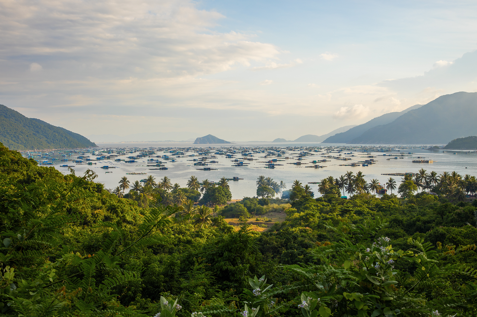 Vịnh biển hoang sơ, là nơi nuôi tôm hùm đang được kêu gọi đầu tư 20.000 tỷ để lột xác thành khu du lịch cao cấp- Ảnh 13.