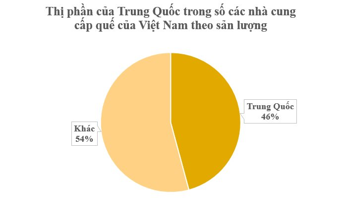 Loại cây lâu đời nhất thế giới từ Trung Quốc mang sang giúp Việt Nam trở thành ‘ông hoàng’ toàn cầu: Chỉ có rất ít quốc gia sở hữu, thu gần trăm triệu USD từ đầu năm- Ảnh 2.