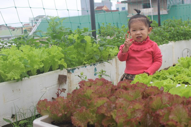 Nữ đầu bếp trồng dưa hấu trên sân thượng, sau 2 mùa thu hoạch khủng, con số khiến tất cả bất ngờ- Ảnh 12.