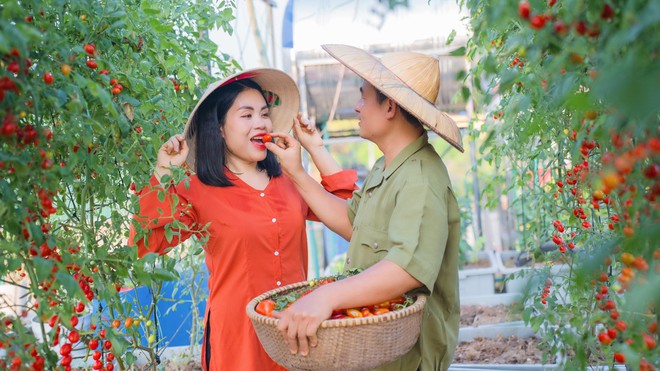 Nữ đầu bếp trồng dưa hấu trên sân thượng, sau 2 mùa thu hoạch khủng, con số khiến tất cả bất ngờ- Ảnh 8.