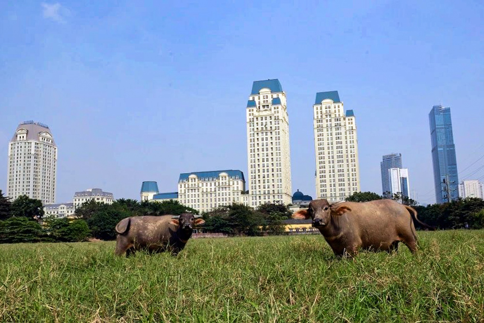 Một quận của Hà Nội thay đổi kinh ngạc sau 10 năm, là “điểm nóng” phát triển bất động sản, Vinhomes và hàng loạt ông lớn đến đầu tư- Ảnh 9.