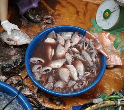 Mùa thu bớt ăn 4 loại cá này vì chứa cực nhiều kim loại nặng, người bán thậm chí còn tránh- Ảnh 2. Mùa thu bớt ăn 4 loại cá này vì chứa cực nhiều kim loại nặng, người bán thậm chí còn tránh- Ảnh 2.