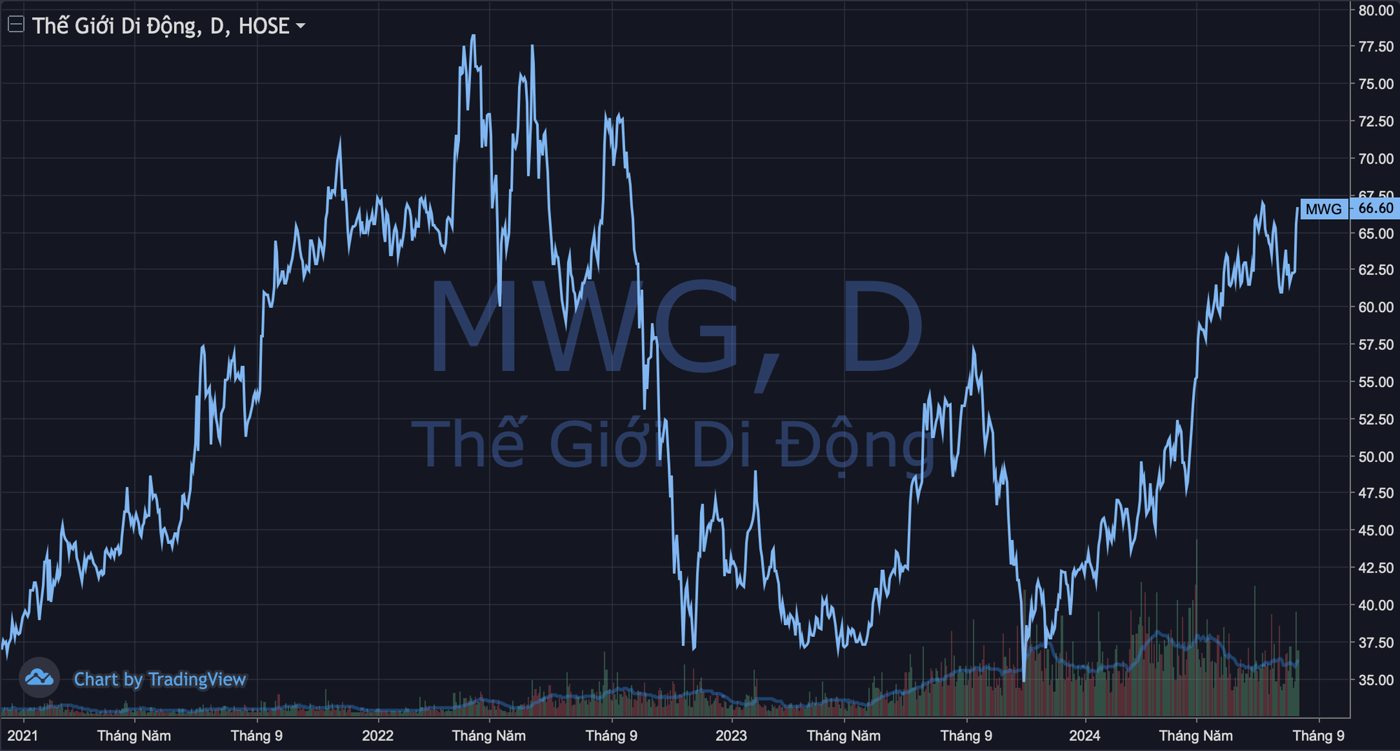 photo-1723450210110 photo-1723450210110