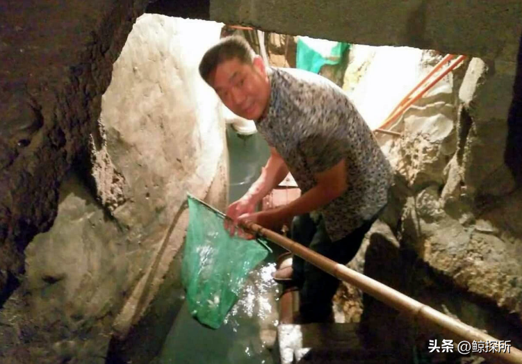 Đào hố sâu 16m trong nhà, người đàn ông phát hiện dòng suối lạ sản sinh cả tấn cá mỗi ngày: Người người đổ xô đến xem, thu được tiền tỷ mỗi năm- Ảnh 3. Đào hố sâu 16m trong nhà, người đàn ông phát hiện dòng suối lạ sản sinh cả tấn cá mỗi ngày: Người người đổ xô đến xem, thu được tiền tỷ mỗi năm- Ảnh 3.