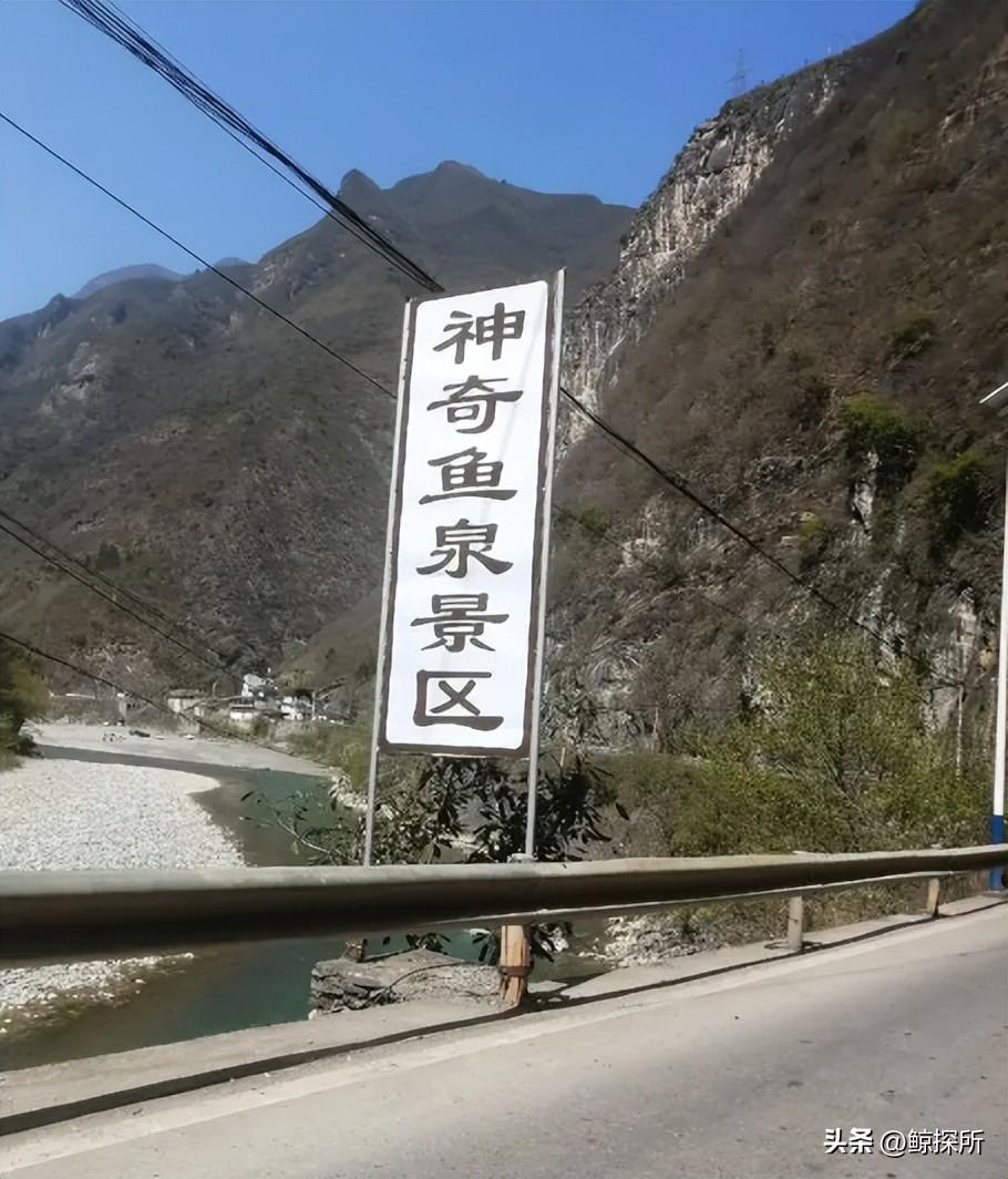 Đào hố sâu 16m trong nhà, người đàn ông phát hiện dòng suối lạ sản sinh cả tấn cá mỗi ngày: Người người đổ xô đến xem, thu được tiền tỷ mỗi năm- Ảnh 7. Đào hố sâu 16m trong nhà, người đàn ông phát hiện dòng suối lạ sản sinh cả tấn cá mỗi ngày: Người người đổ xô đến xem, thu được tiền tỷ mỗi năm- Ảnh 7.