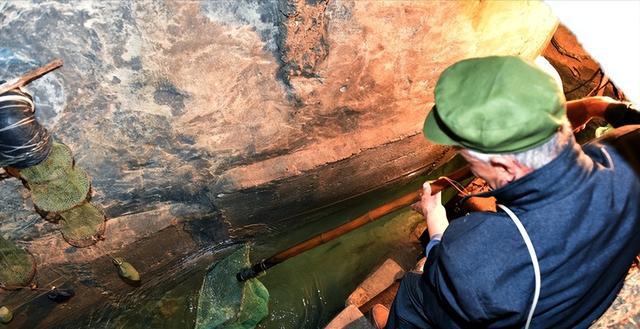 Đào hố sâu 16m trong nhà, người đàn ông phát hiện dòng suối lạ sản sinh cả tấn cá mỗi ngày: Người người đổ xô đến xem, thu được tiền tỷ mỗi năm- Ảnh 5. Đào hố sâu 16m trong nhà, người đàn ông phát hiện dòng suối lạ sản sinh cả tấn cá mỗi ngày: Người người đổ xô đến xem, thu được tiền tỷ mỗi năm- Ảnh 5.