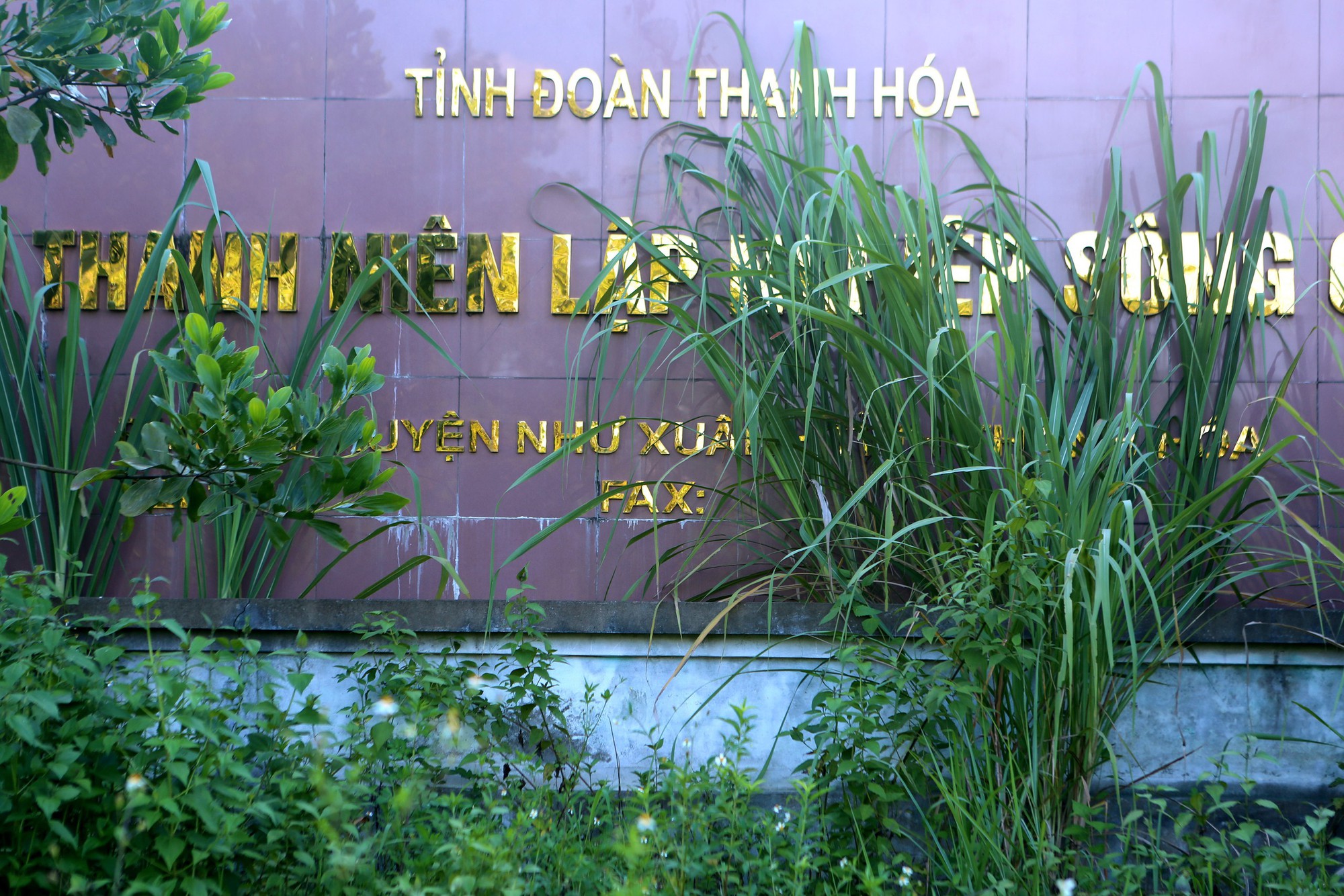 Dang dở làng thanh niên lập nghiệp ở Thanh Hóa- Ảnh 8.