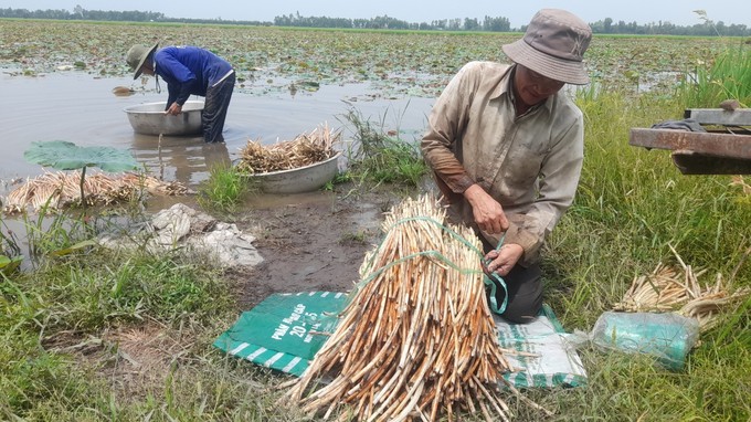 Người ướt thì mới có tiền, dân miền Tây bật mí việc cứ 2 ngày lại kiếm được tiền triệu- Ảnh 2.