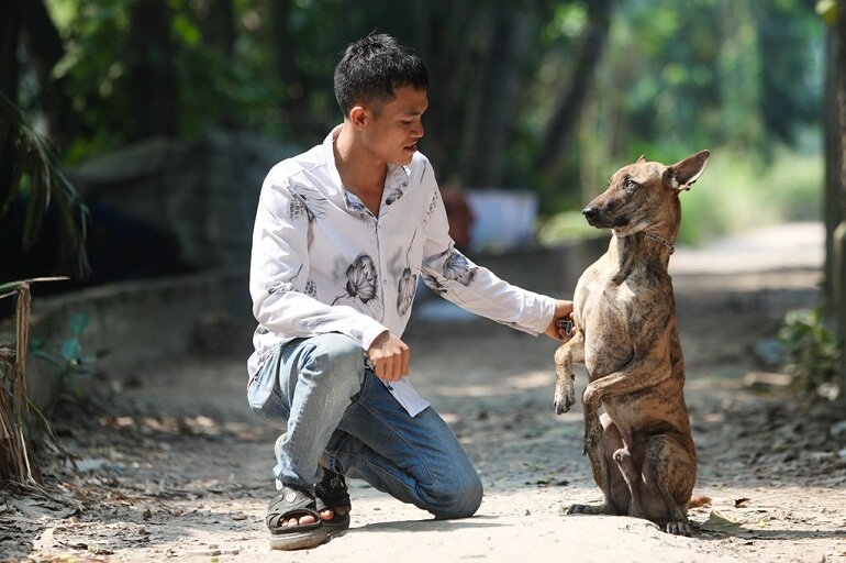 Việt Nam có quốc khuyển thuộc hàng đắt nhất thế giới: Sở hữu đặc điểm chỉ có ở 3 trong số 1000 giống chó- Ảnh 6.