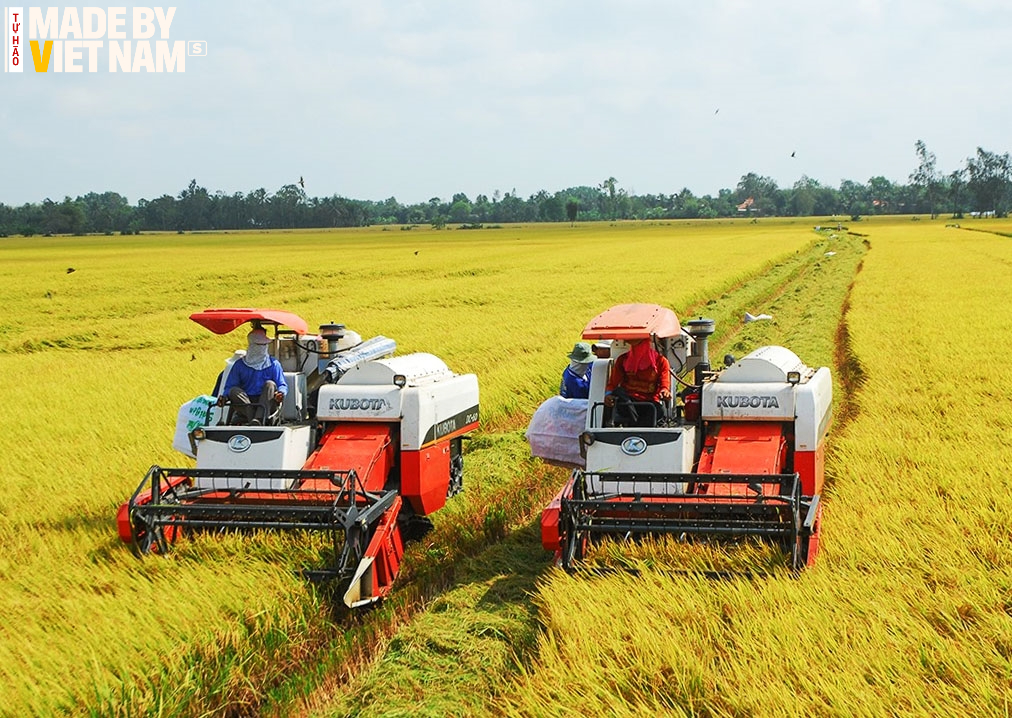 Dự án đầu tiên trên thế giới và kỳ vọng của GS Võ Tòng Xuân về tương lai rực rỡ cho ngành lúa gạo Việt Nam- Ảnh 3.