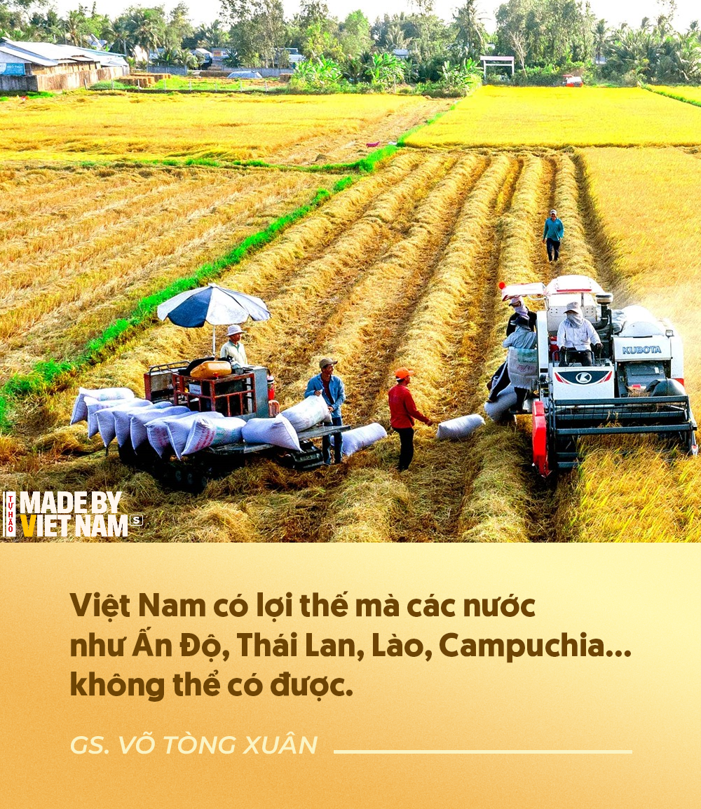 Dự án đầu tiên trên thế giới và kỳ vọng của GS Võ Tòng Xuân về tương lai rực rỡ cho ngành lúa gạo Việt Nam- Ảnh 2.