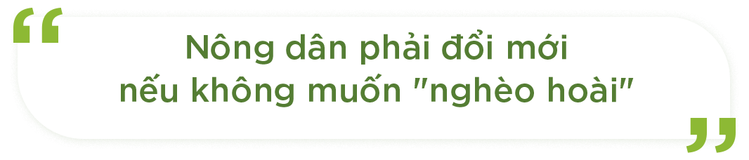 Dự án đầu tiên trên thế giới và kỳ vọng của GS Võ Tòng Xuân về tương lai rực rỡ cho ngành lúa gạo Việt Nam- Ảnh 8.