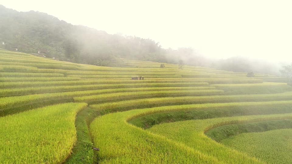 Tháng 8, thời điểm tuyệt vời nhất để đến Tuyên Quang: Rước đèn tại lễ hội Trung thu lớn nhất cả nước, check-in ngọn thác 15 tầng đẹp tựa tiên cảnh- Ảnh 28.