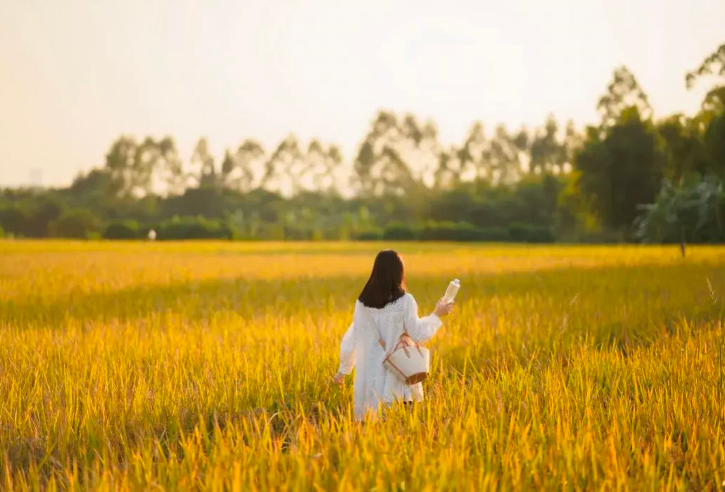 Dấu hiệu của một người sắp trở nên giàu có: Không tự bóp chặt ví tiền bằng 4 sai lầm này- Ảnh 4. Dấu hiệu của một người sắp trở nên giàu có: Không tự bóp chặt ví tiền bằng 4 sai lầm này- Ảnh 4.