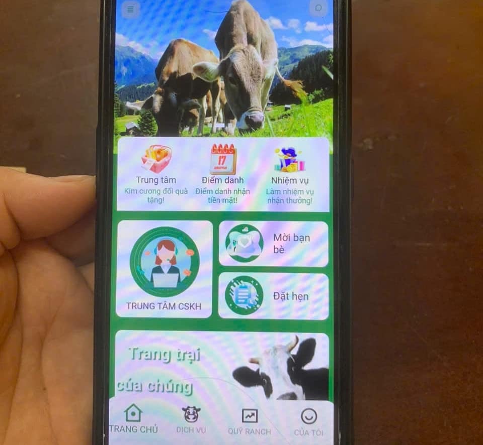 Một người phụ nữ suýt mất 300 triệu đồng khi "nuôi bò" online- Ảnh 3. Một người phụ nữ suýt mất 300 triệu đồng khi "nuôi bò" online- Ảnh 3.