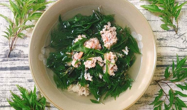 Loại cây là "nhân sâm cho người nghèo", trồng trong nhà giúp gia chủ hút tài chiêu lộc- Ảnh 6. Loại cây là "nhân sâm cho người nghèo", trồng trong nhà giúp gia chủ hút tài chiêu lộc- Ảnh 6.