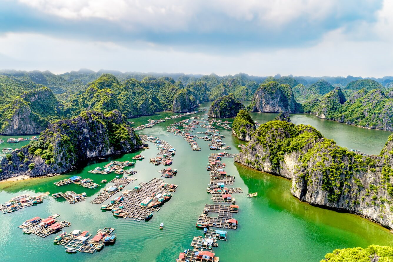 Đoàn 4.500 du khách của tỷ phú Ấn Độ sang Việt Nam chi bao nhiêu tiền mua vé tham quan?- Ảnh 2. Đoàn 4.500 du khách của tỷ phú Ấn Độ sang Việt Nam chi bao nhiêu tiền mua vé tham quan?- Ảnh 2.