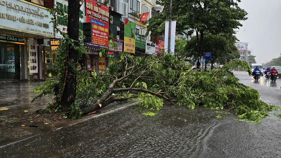 Hà Nội mưa to giữa trưa, gió giật như bão khiến cây đổ, gãy cành- Ảnh 3.