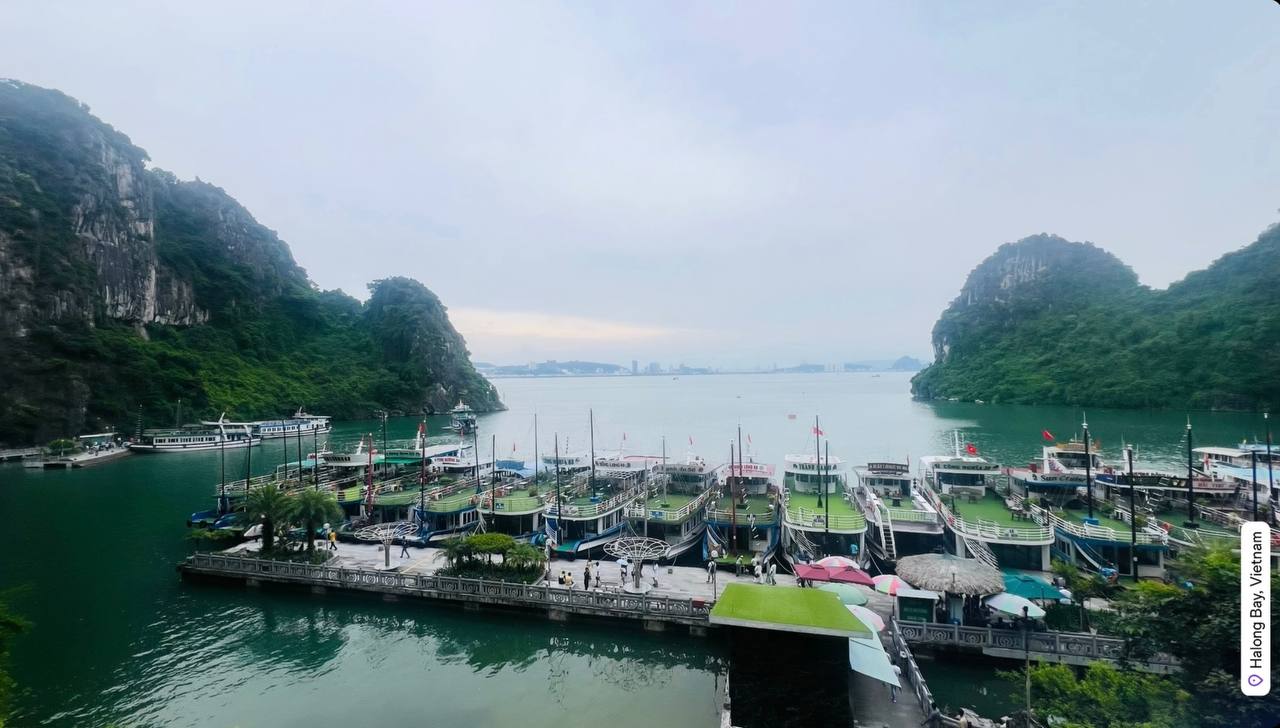 Tiết lộ thực đơn toàn rau củ quả của đoàn khách Ấn Độ trên du thuyền giữa Vịnh Hạ Long- Ảnh 6. Tiết lộ thực đơn toàn rau củ quả của đoàn khách Ấn Độ trên du thuyền giữa Vịnh Hạ Long- Ảnh 6.