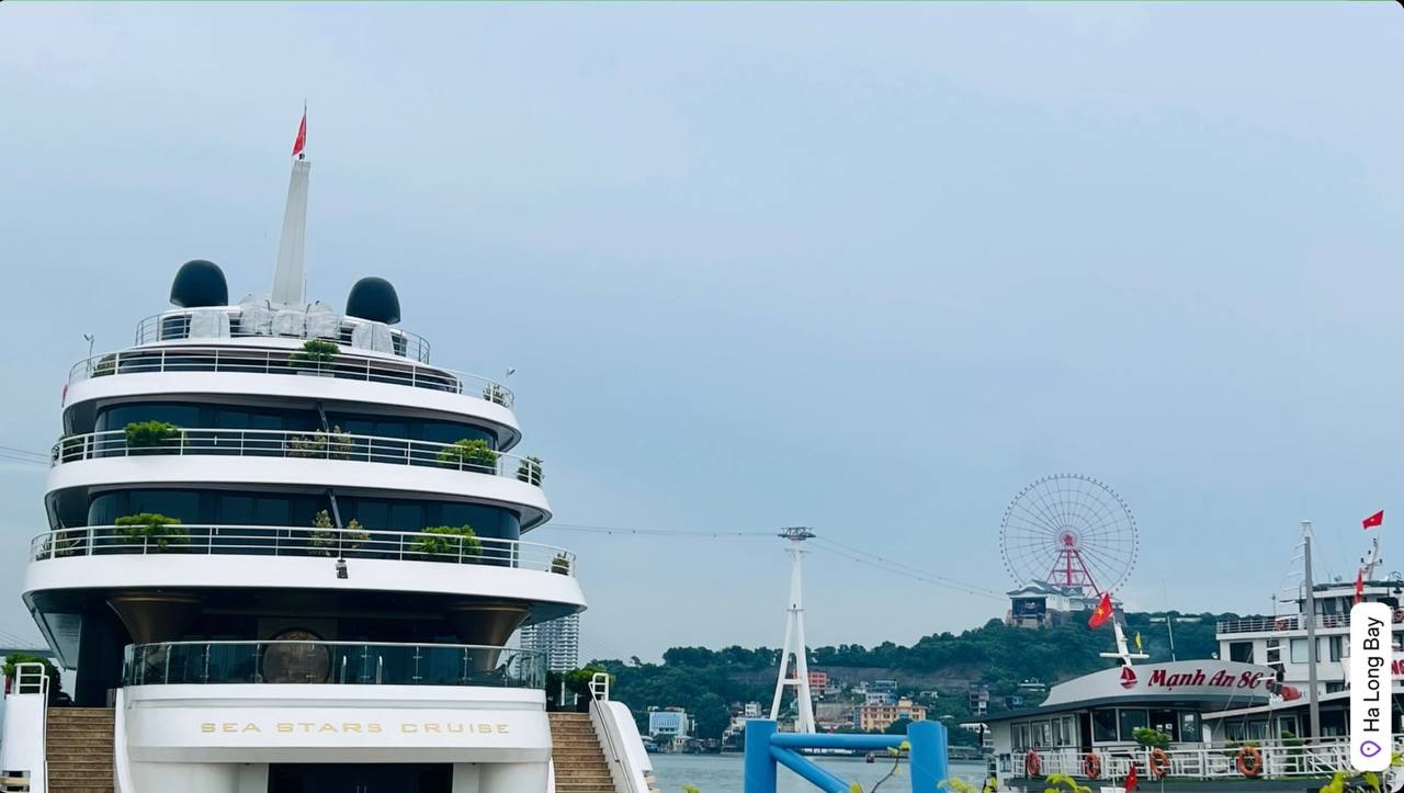 Tiết lộ thực đơn toàn rau củ quả của đoàn khách Ấn Độ trên du thuyền giữa Vịnh Hạ Long- Ảnh 5. Tiết lộ thực đơn toàn rau củ quả của đoàn khách Ấn Độ trên du thuyền giữa Vịnh Hạ Long- Ảnh 5.