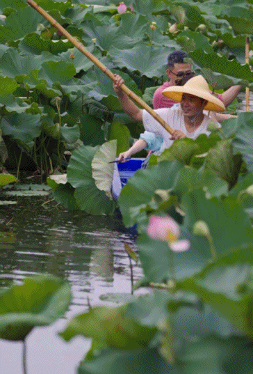 "Viện dưỡng lão" thanh niên gây tranh cãi: Tiền thuê mỗi tháng 5 triệu đồng, người trên 45 tuổi không được ở- Ảnh 3. "Viện dưỡng lão" thanh niên gây tranh cãi: Tiền thuê mỗi tháng 5 triệu đồng, người trên 45 tuổi không được ở- Ảnh 3.