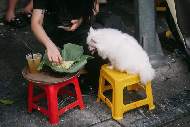 Giữa cái nắng 35 độ, hàng trăm “nàng thơ” dù toát mồ hôi vẫn miệt mài check-in phố thu Hà Nội- Ảnh 21. Giữa cái nắng 35 độ, hàng trăm “nàng thơ” dù toát mồ hôi vẫn miệt mài check-in phố thu Hà Nội- Ảnh 21.