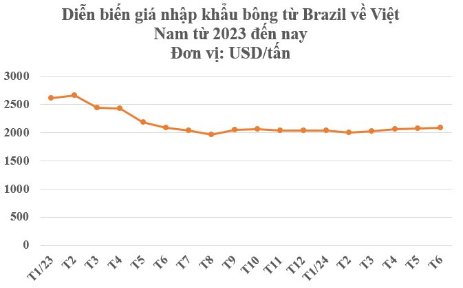 "Báu vật' từ Brazil đổ bộ Việt Nam với giá rẻ bất ngờ: Được mệnh danh vàng trắng trên cây, nước ta tiêu thụ đứng thứ 3 thế giới- Ảnh 2.