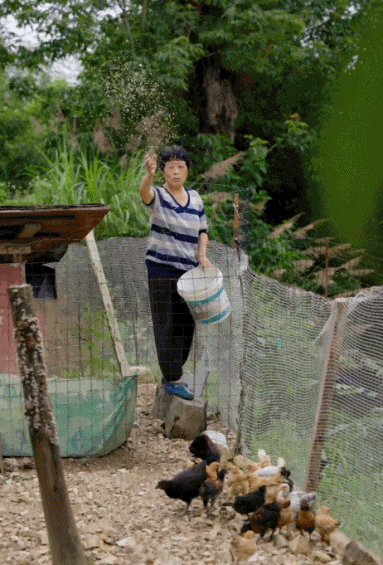 Hai chị em tiêu hết 7 tỷ đồng tiền tiết kiệm về quê xây nhà cho bố mẹ: Hai chị em tiêu hết 7 tỷ đồng tiền tiết kiệm về quê xây nhà cho bố mẹ: