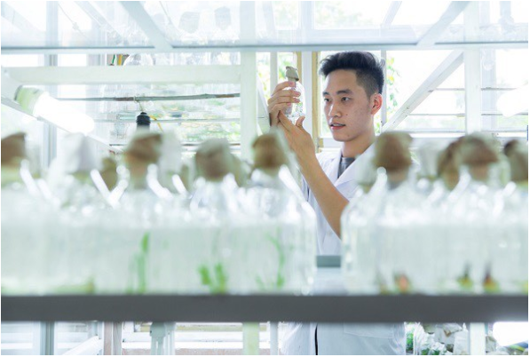 Khoa học cây trồng – Ngành học không lo thất nghiệp- Ảnh 3. Khoa học cây trồng – Ngành học không lo thất nghiệp- Ảnh 3.