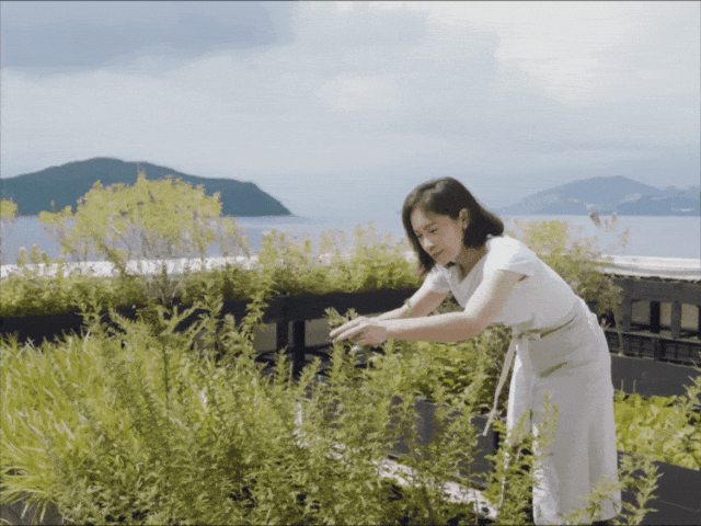Nữ luật sư bỏ việc ở tuổi 30 để làm đầu bếp, dành 12 tiếng nấu ăn mỗi ngày: "Làm việc mình thích, bạn sẽ không bao giờ cảm thấy kiệt sức"- Ảnh 26. Nữ luật sư bỏ việc ở tuổi 30 để làm đầu bếp, dành 12 tiếng nấu ăn mỗi ngày: "Làm việc mình thích, bạn sẽ không bao giờ cảm thấy kiệt sức"- Ảnh 26.