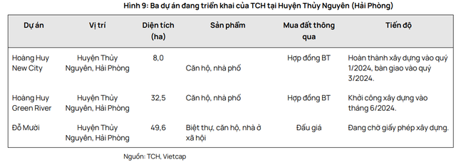 Bộ đôi TCH và HHS đồng loạt giảm "trắng bên mua", nhà đầu tư "mắc kẹt" với hàng chục triệu cổ phiếu chất giá sàn- Ảnh 2.