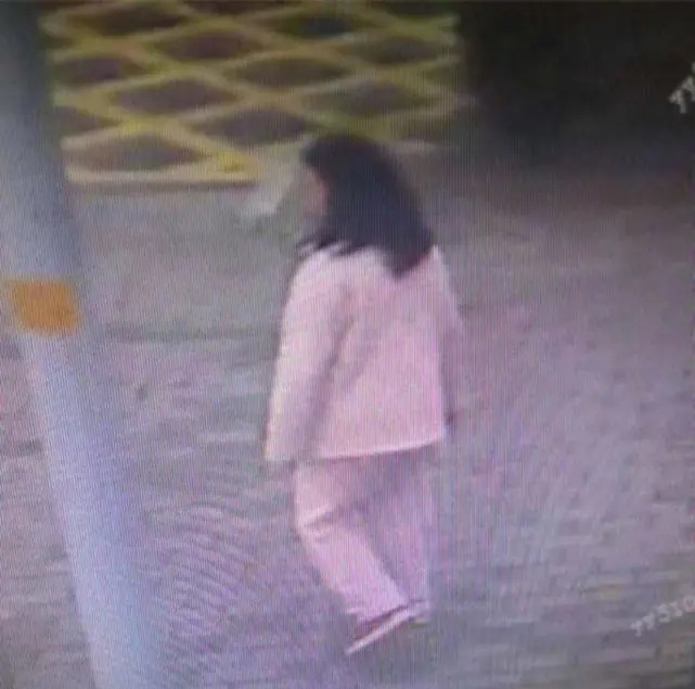Trượt đại học, nữ sinh buồn suốt mấy năm dẫn đến trầm cảm, mẹ đưa đến bệnh viện kiểm tra thì đột ngột biến mất: Cảnh sát liền vào cuộc- Ảnh 3. Trượt đại học, nữ sinh buồn suốt mấy năm dẫn đến trầm cảm, mẹ đưa đến bệnh viện kiểm tra thì đột ngột biến mất: Cảnh sát liền vào cuộc- Ảnh 3.