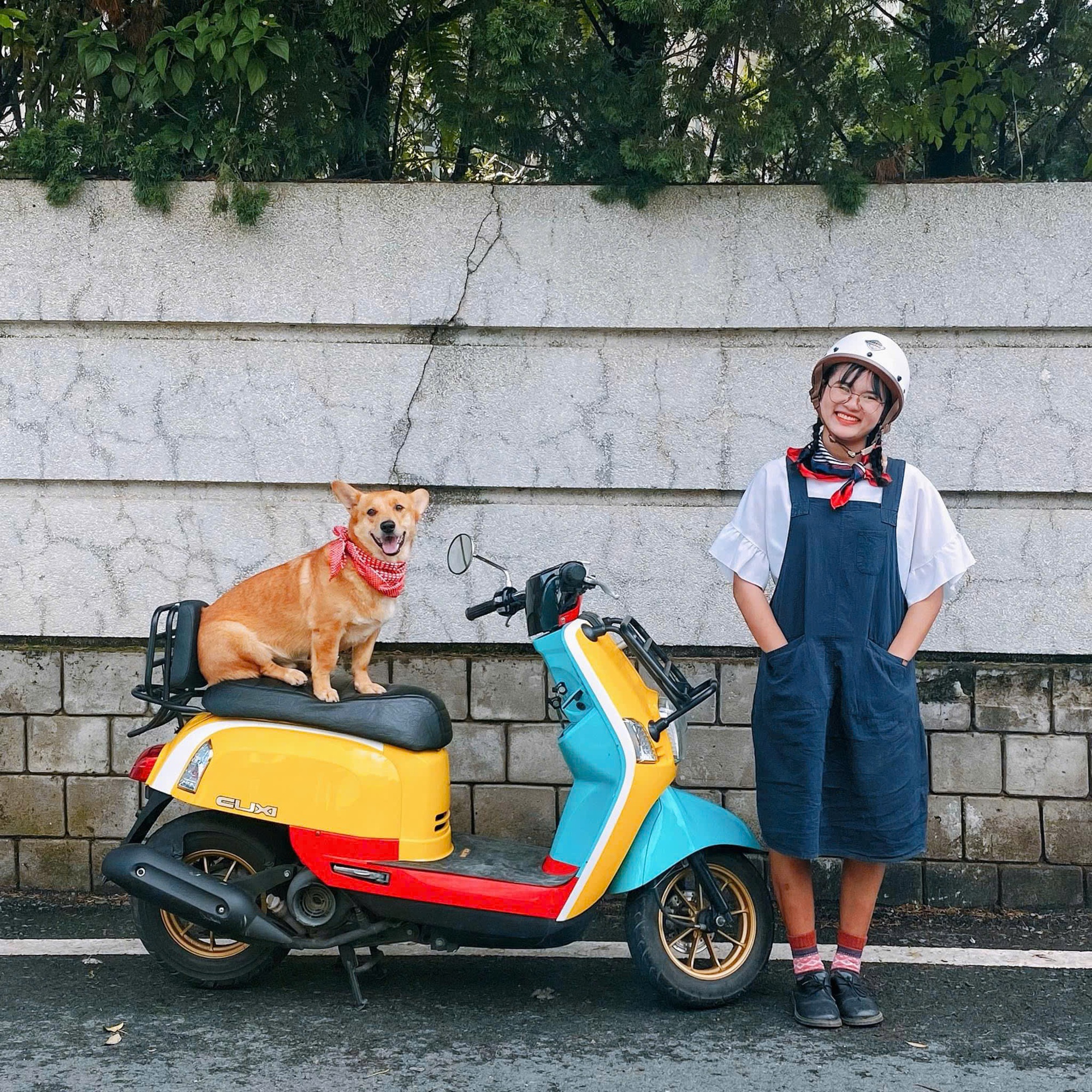 Rời thành phố lên Đà Lạt sống với thu nhập thấp: 5 năm sau, cô gái "đánh bay" mọi nghi ngờ- Ảnh 5.