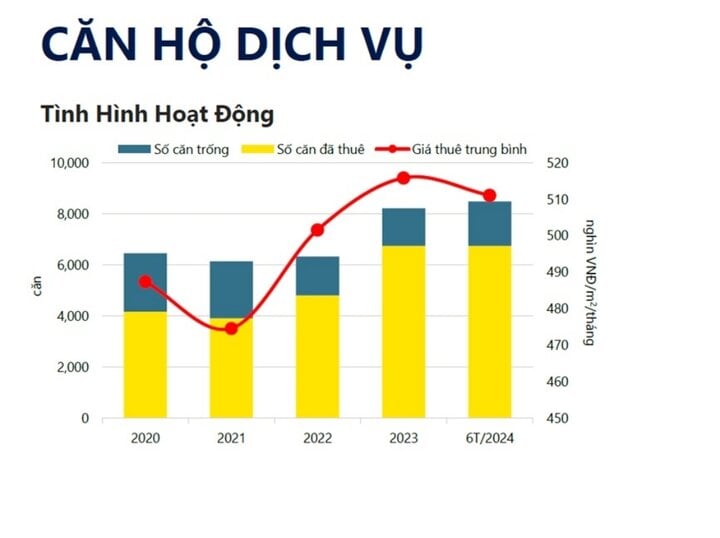 FDI thúc đẩy căn hộ dich vụ cho thuê phát triển ở TP.HCM- Ảnh 3.