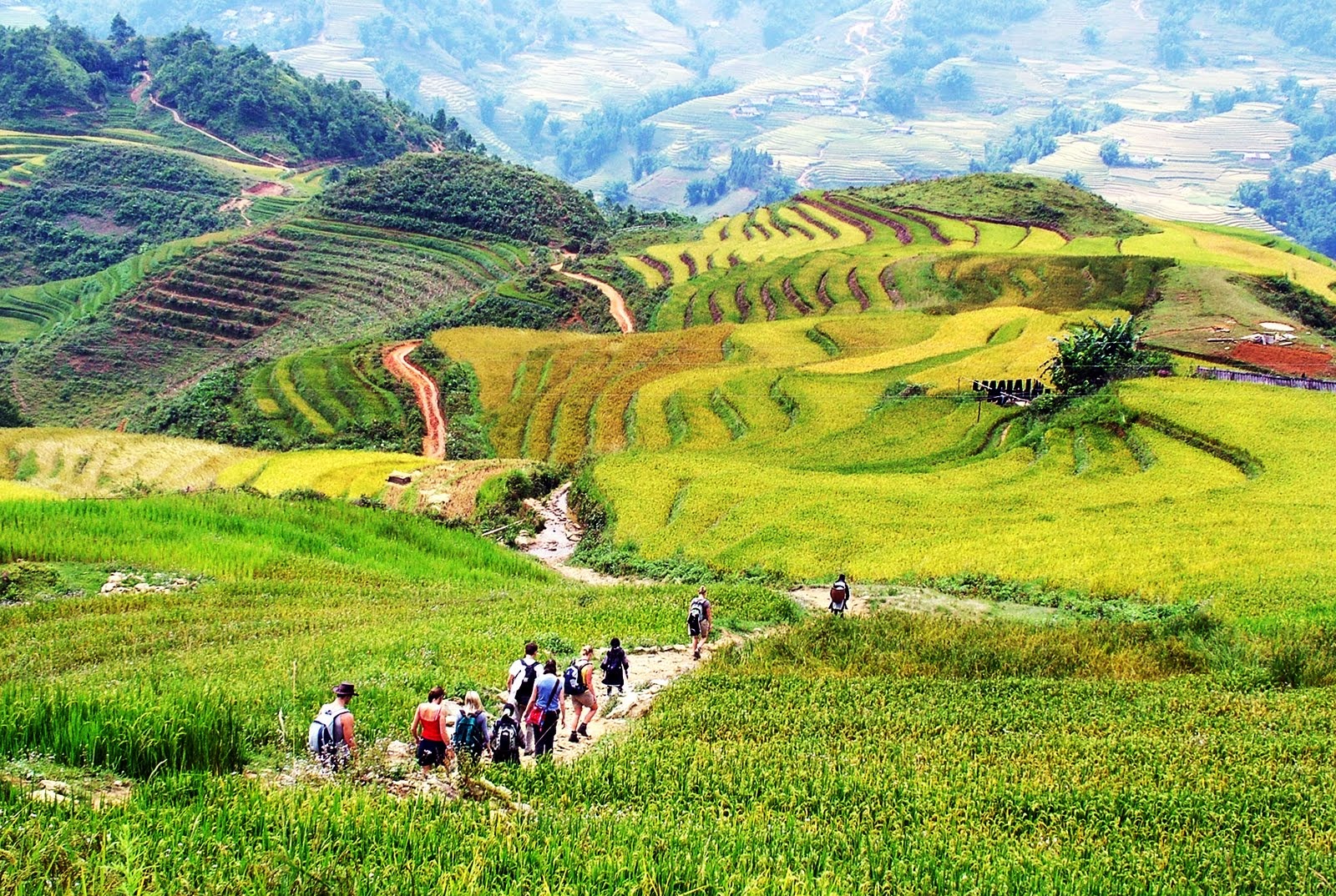 Nơi được ví như viên ngọc ẩn ở Sa Pa, du khách trầm trồ vì cảnh như tranh vẽ, cách trung tâm chỉ hơn 10km- Ảnh 4.