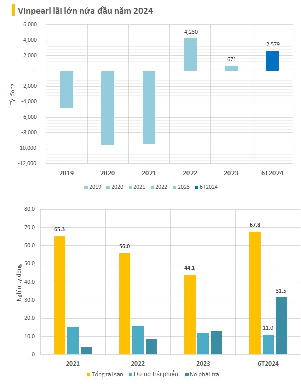 Vinpearl lãi gần 2.600 tỷ trong nửa đầu năm 2024, tài sản gần 3 tỷ USD, vượt Vincom Retail- Ảnh 1.