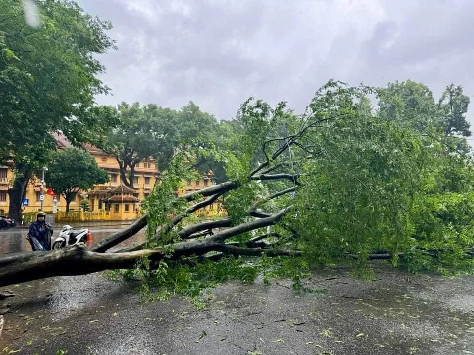 Một công ty chứng khoán bị mất kết nối với HoSE do ảnh hưởng của bão Yagi- Ảnh 1.