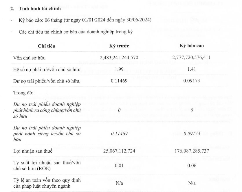 Nửa đầu năm 2024, chủ đầu tư chuỗi dự án nghỉ dưỡng Flamingo báo lãi gấp 7 lần cùng kỳ- Ảnh 2.