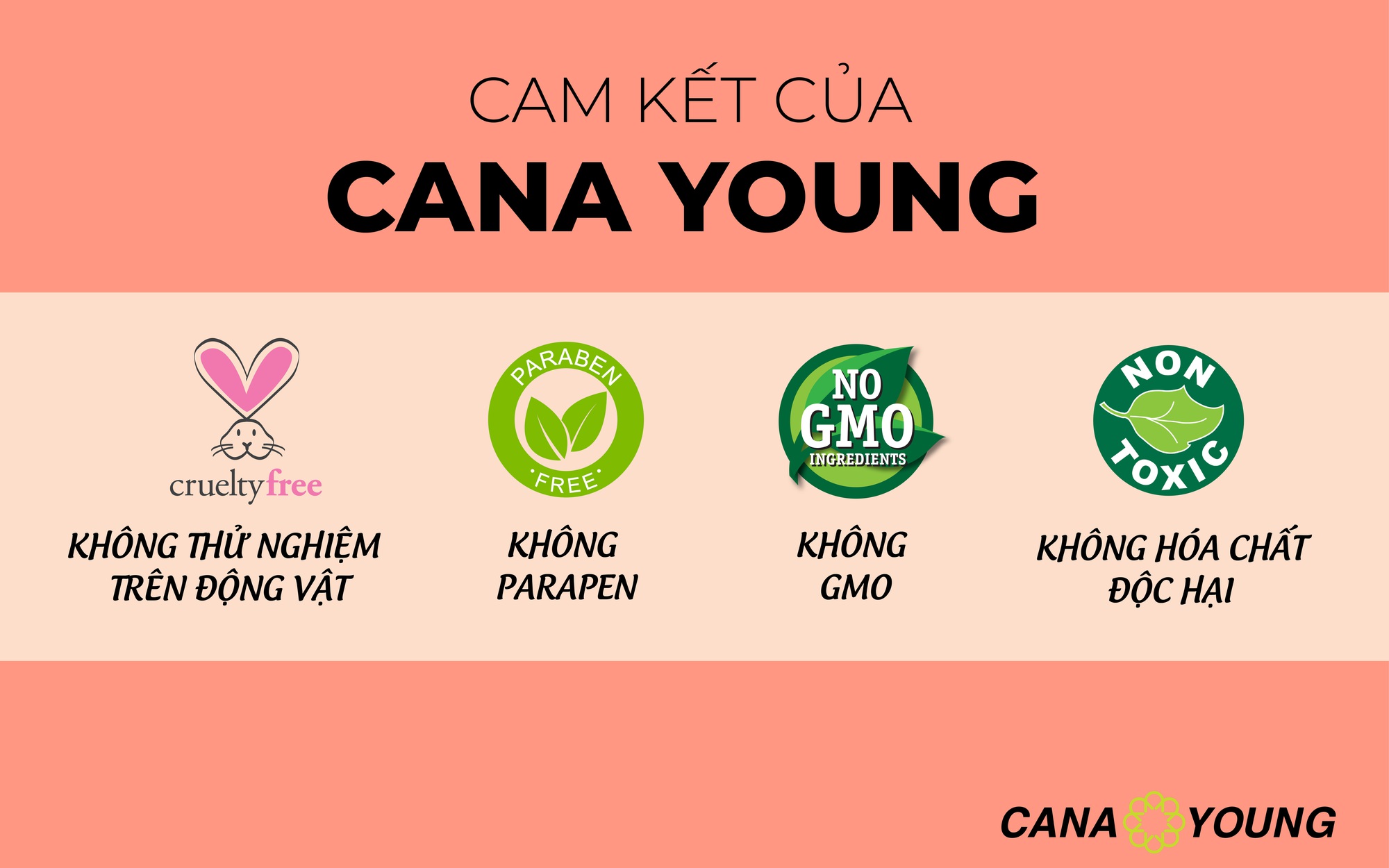 Cana Young và Lotte Mart tăng cường hợp tác ra mắt thành công 3 loại sữa rửa mặt tạo bọt mới- Ảnh 2.