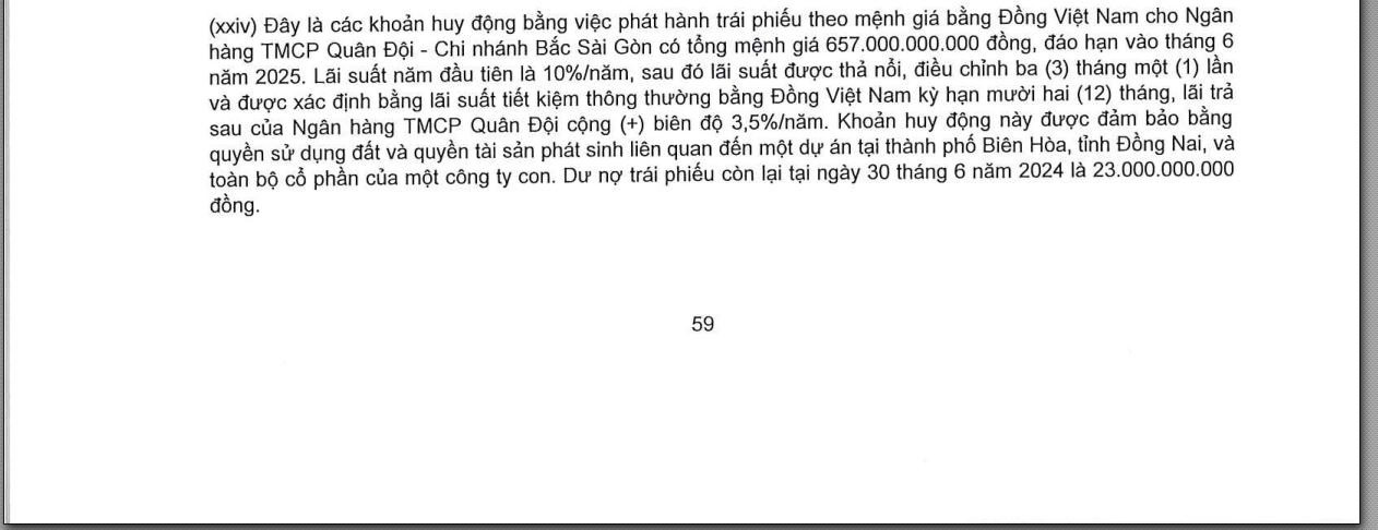 Vừa cam kết rót thêm 1.100 tỷ đồng, MB Bank đang cho vay và nắm bao nhiêu trái phiếu Novaland?- Ảnh 6.