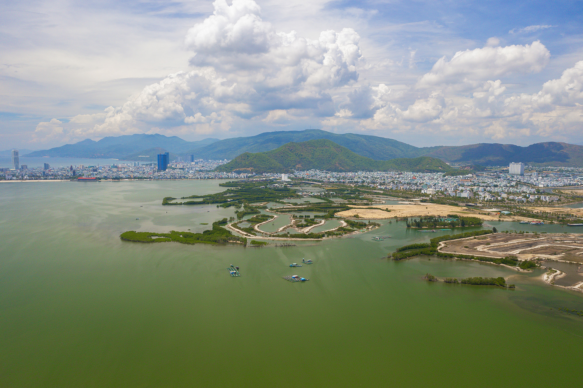 Đầm nước rộng thứ hai Việt Nam là trung tâm của thành phố Quy Nhơn, sẽ vừa có đô thị hiện đại, vừa có rừng ngập mặn- Ảnh 4.