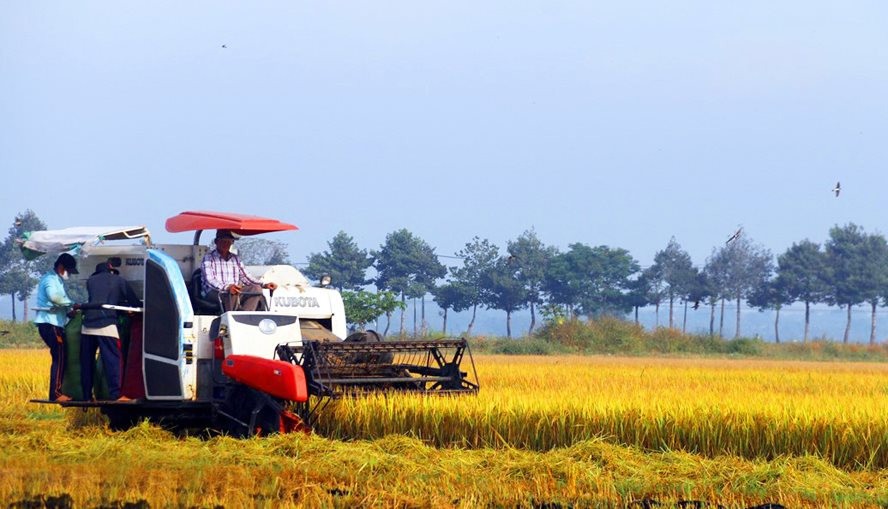 Tin vui cho người nông dân: Tăng mức hỗ trợ lên 1,5 triệu đồng/ha/năm đối với đất chuyên trồng lúa- Ảnh 1.