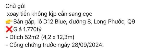 Hụt hơi vì ôm hàng lướt sóng, nhà đầu tư kêu cứu: “Xoay tiền không kịp, cần sang cọc”- Ảnh 2.