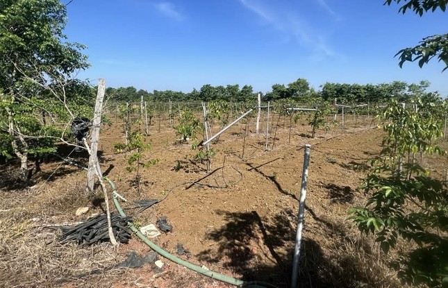 Bắt nguyên Trưởng phòng TN&MT một huyện ở Lâm Đồng- Ảnh 2. Bắt nguyên Trưởng phòng TN&MT một huyện ở Lâm Đồng- Ảnh 2.
