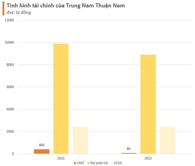 Dự án điện của Trung Nam hưởng giá ưu đãi trái quy định đã kinh doanh ra sao?- Ảnh 4.