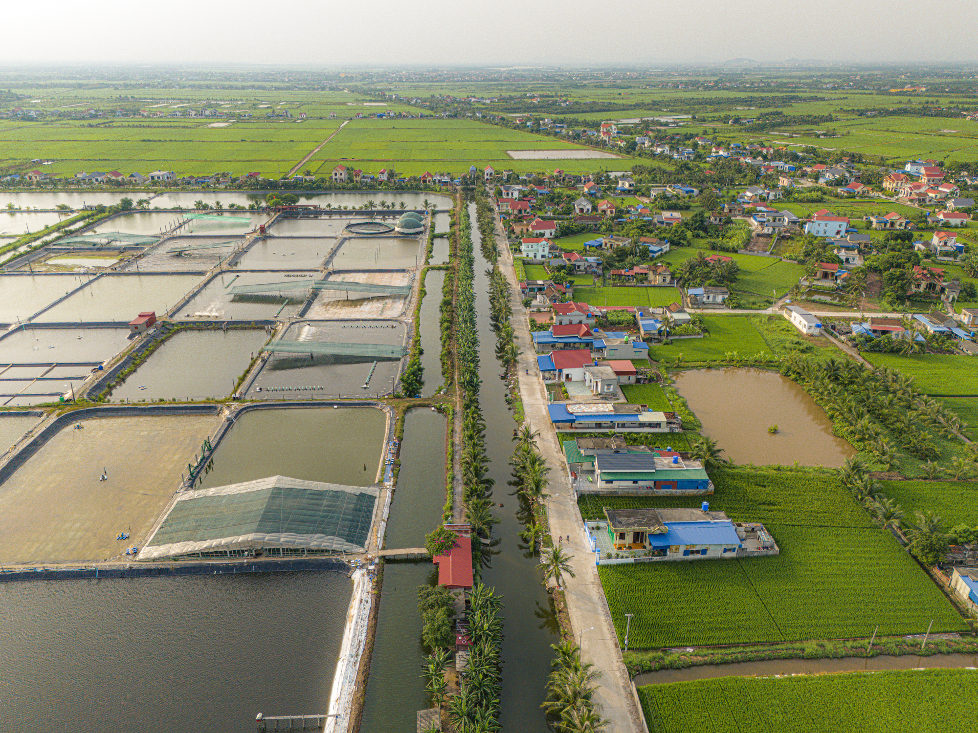 Toàn cảnh khu vực được đề xuất xây sân bay quốc tế thứ 2 tại thành phố Hải Phòng, cách sân bay Cát Bi chỉ 35 km- Ảnh 13.