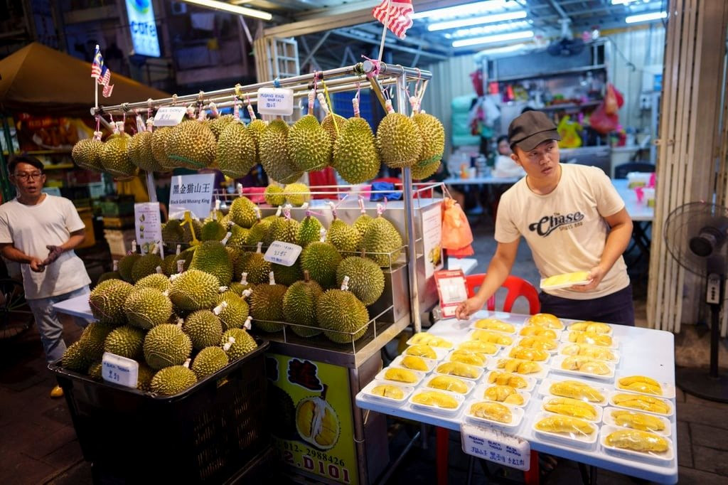 Chiều lòng khách Trung Quốc, nông dân ở quốc gia Đông Nam Á này muốn đổi vị cả giống sầu riêng 'vua' trứ danh- Ảnh 3.